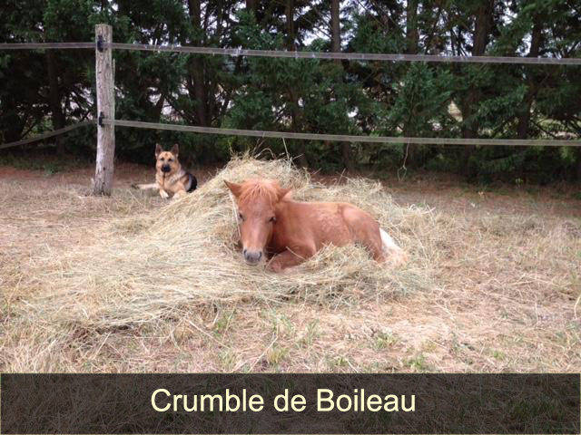 Crumble de Boileau