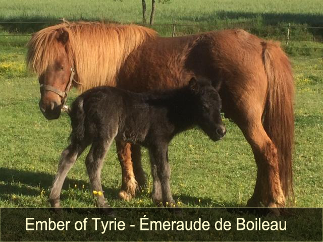 Ember of Tyrie et Emeraude de Boileau