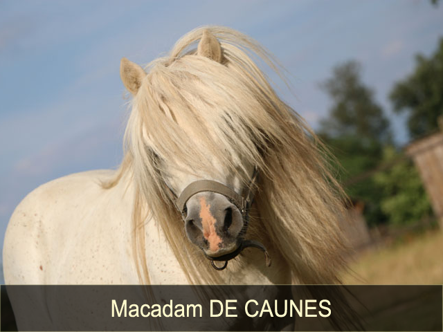 Macadam de Caunes