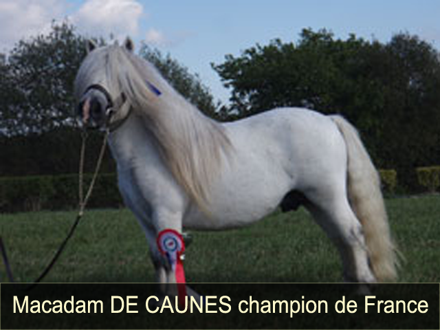 Macadam de Caunes Champion