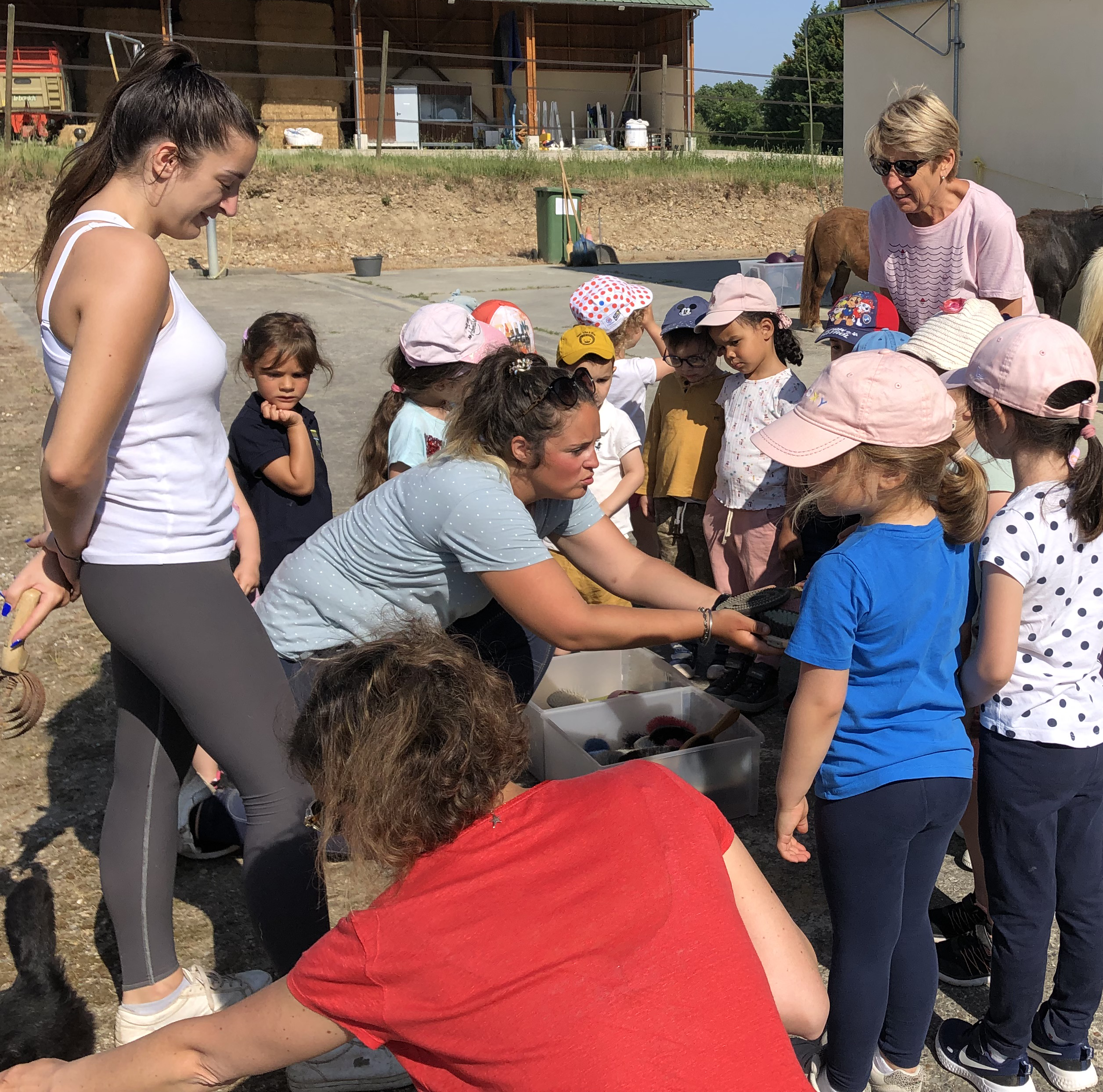 Poney-club scolaire 2