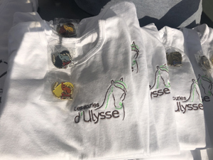 T-shirts coton blanc à manches courtes