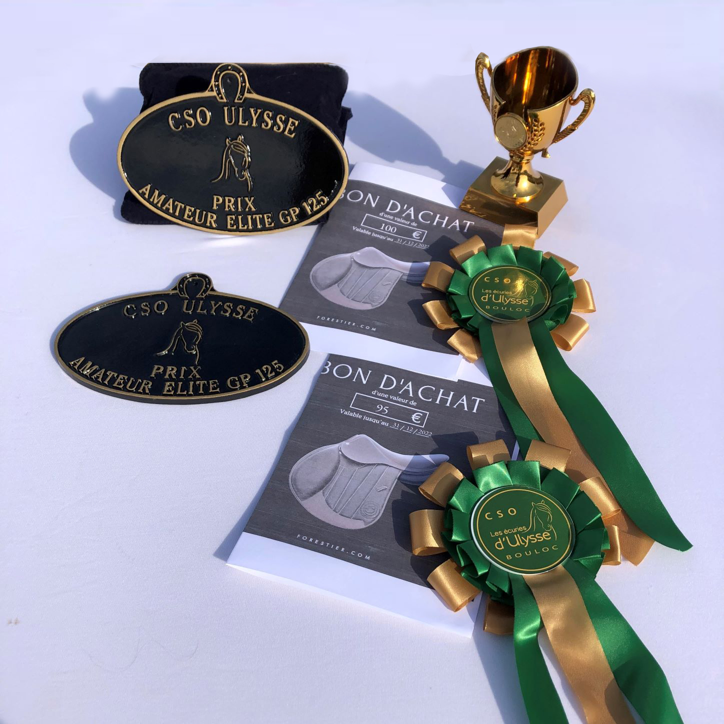 CSO Amateur Pro - Étape As Occitanie